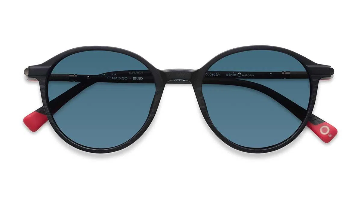 Etnia Barcelona FLAMINGO Sunglasses - view 5
